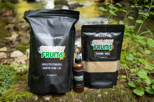 Pack de bouillettes stabilisées, sachets noirs et petit flacon liquide