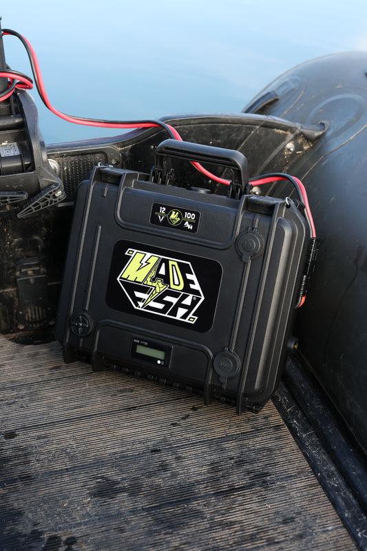 Batterie LiFePO4 12,8 V compacte dans un coffre, écran et câbles rouges/bleus