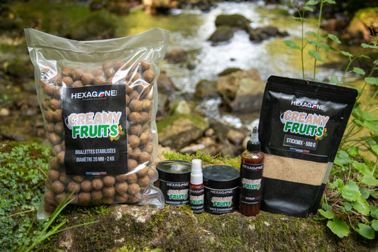 Pack de pêche: grand sac transparent de bouillettes, deux sachets noirs et flacons