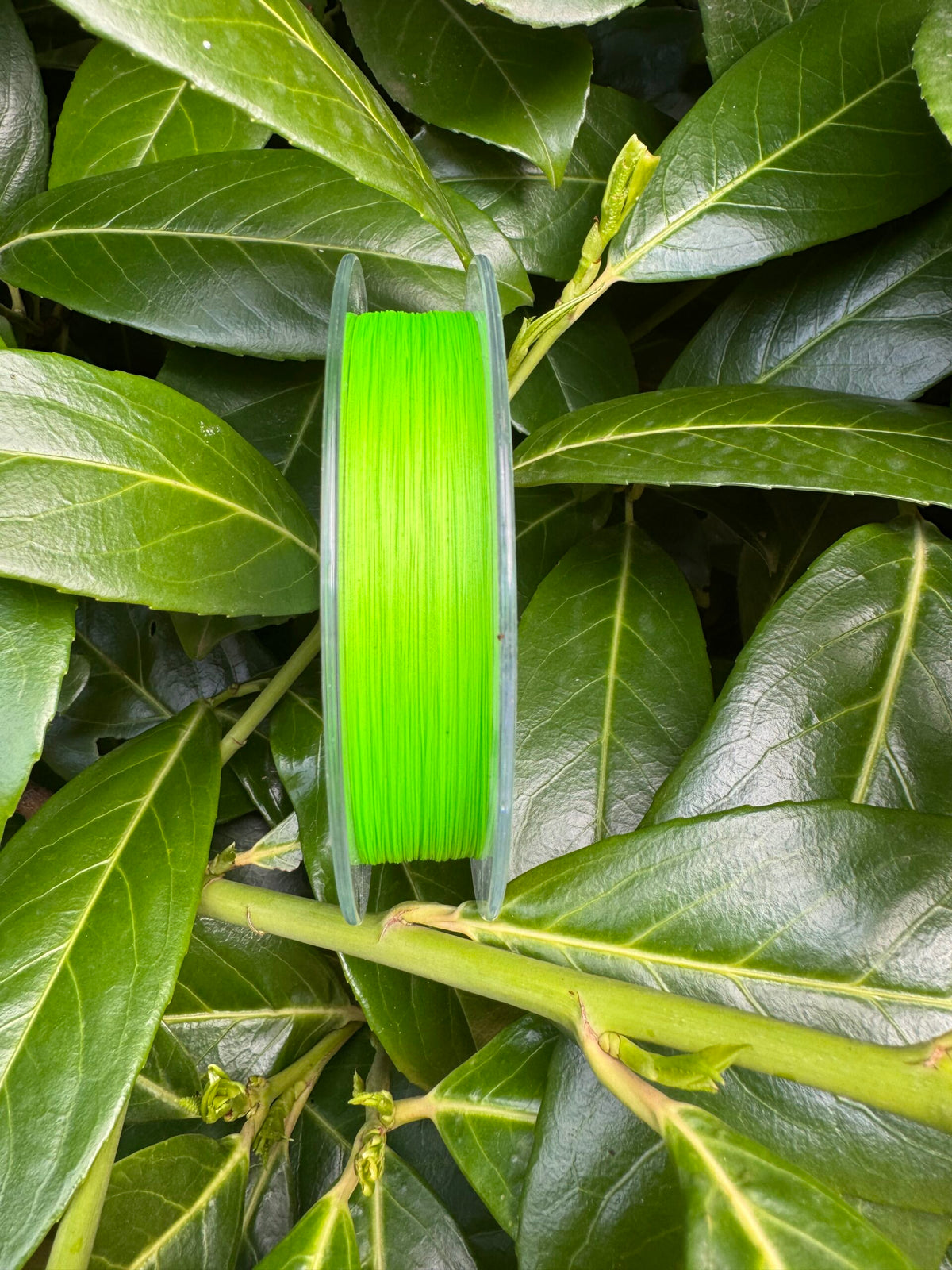 Bobine de tresse vert fluo POLYCHROME, fil enroulé, vue de face